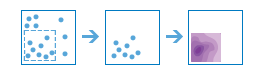 Calculate Density workflow diagram Calculate Density workflow diagram